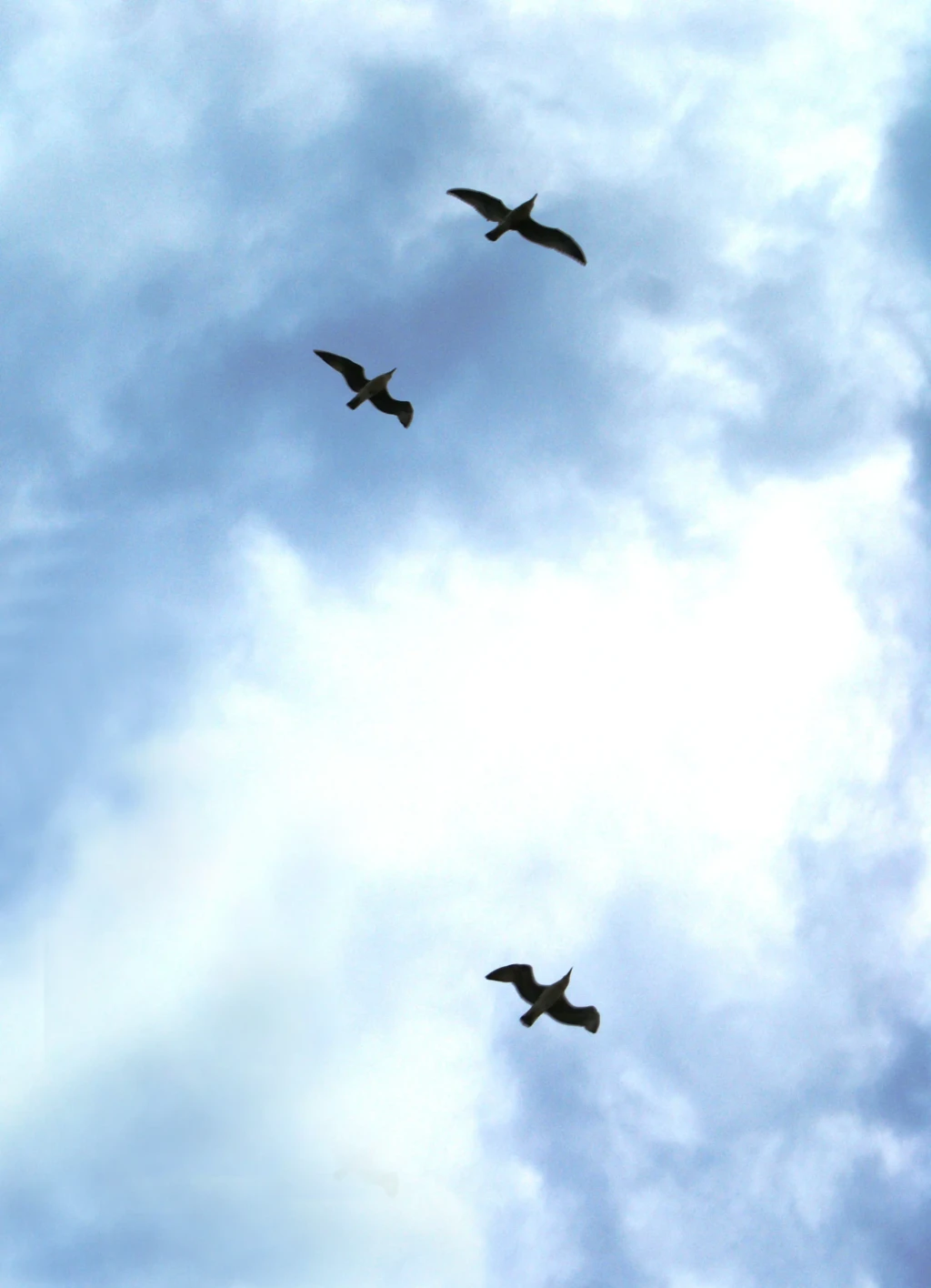 Ciel © D.Vigne 2012