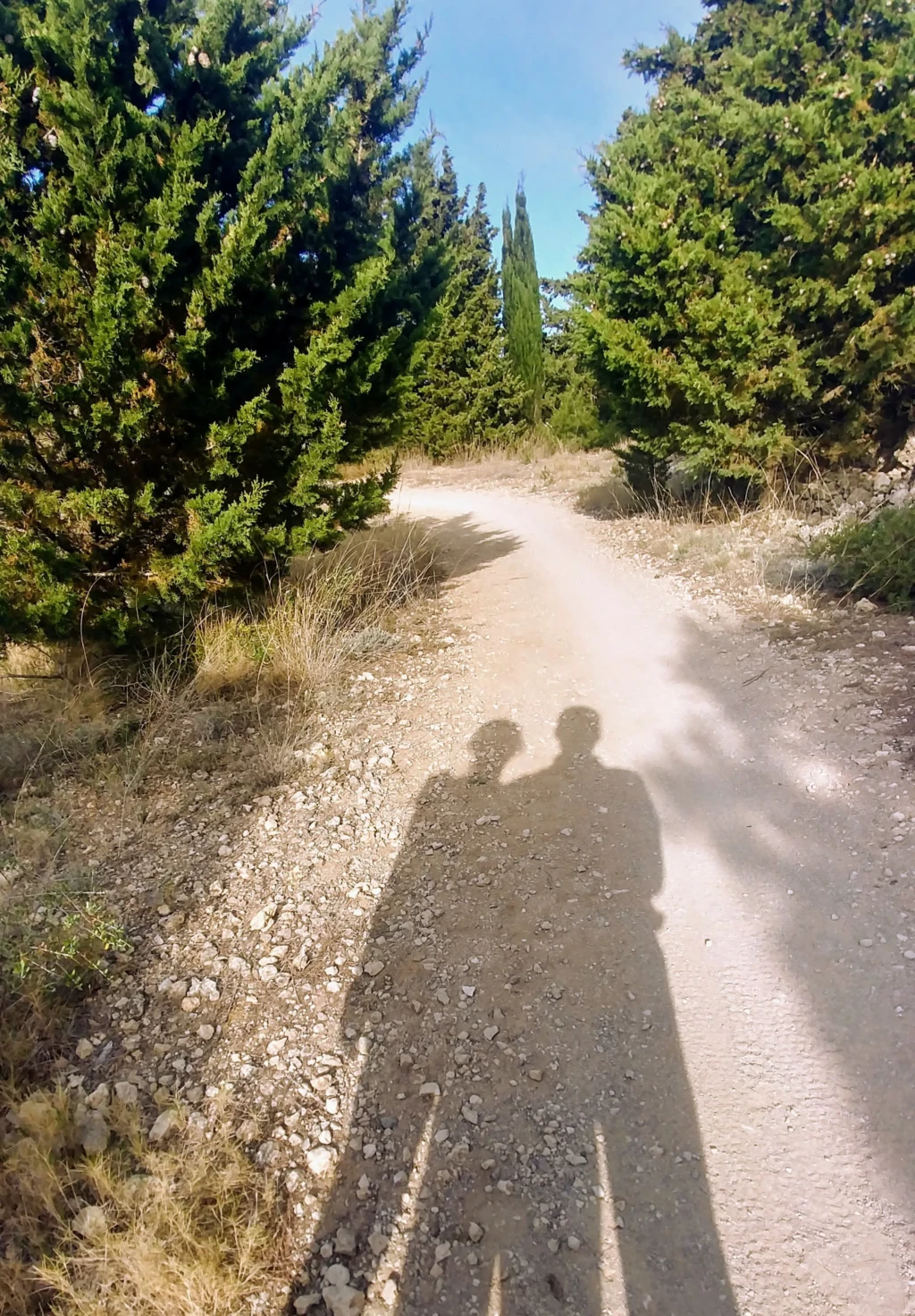 Chemin © D.Vigne 2021