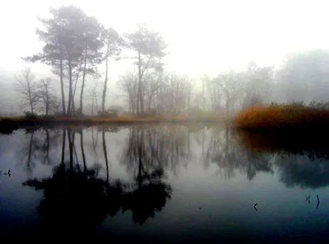 Où l’eau stagne