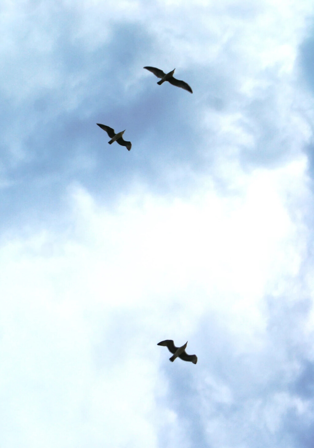 Ciel © D.Vigne 2012