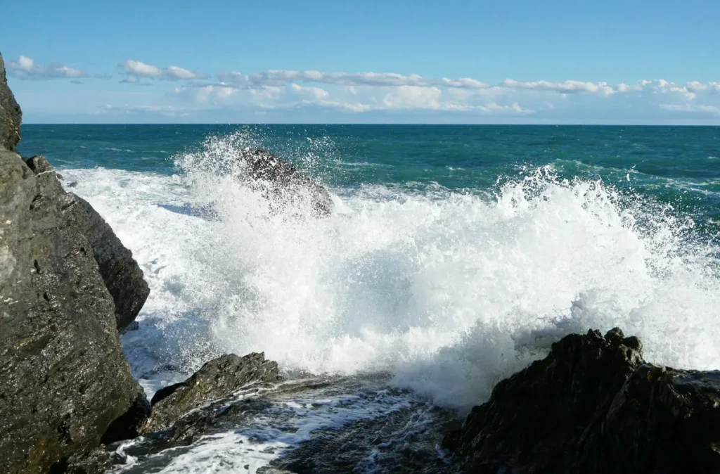 Ange marine
